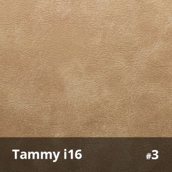 Tammy i16 3